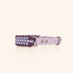 collier-petit-chien-paracorde-lilas-biothane-tresse