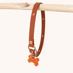 truffeetflair-biothane-collier-porte-medaille-chien-camel-rivets-bijoux