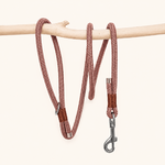 laisse-paracorde-vieux-rose-chiens