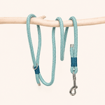 laisse-paracorde-bleu-ciel-chiens