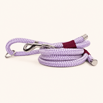 laisse-chiens-paracorde-lilas