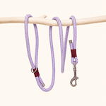 laisse-paracorde-lilas-chiens