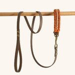 Ensemble-biothane-tresse-laisse-collier-petit-chien-personnalisé