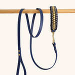 Ensemble-biothane-tresse-laisse-collier-petit-chien-2