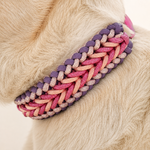 collier-chien-tresse-pivoine-biothane-paracorde-truffe-flair