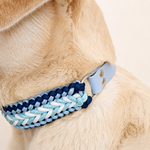 collier-chien-tresse-givre-biothane-paracorde-truffe-flair