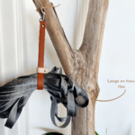 range-longe-chiens-15m