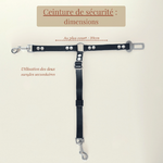 accessoire-biothane-voiture-multifonctions-chien-dimensions3