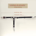 accessoire-biothane-voiture-multifonctions-chien-dimensions2