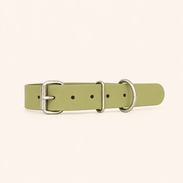 collier-biothane-classique-chien-avocat