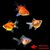 achat voile de chine poisson rouge pearlscale assortis