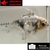 Carassius auratus- Japonais ORANDA sur photo 5000126