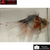 Carassius auratus- Japonais sur photo 5000436