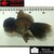 Carassius auratus- Japonais ORANDA sur photo 5000216