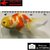 Carassius auratus- Japonais ORANDA sur photo 5000256
