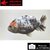 Carassius auratus- Japonais RANCHU sur photo 5000566