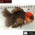 Carassius auratus- Japonais ORANDA sur photo 5000436