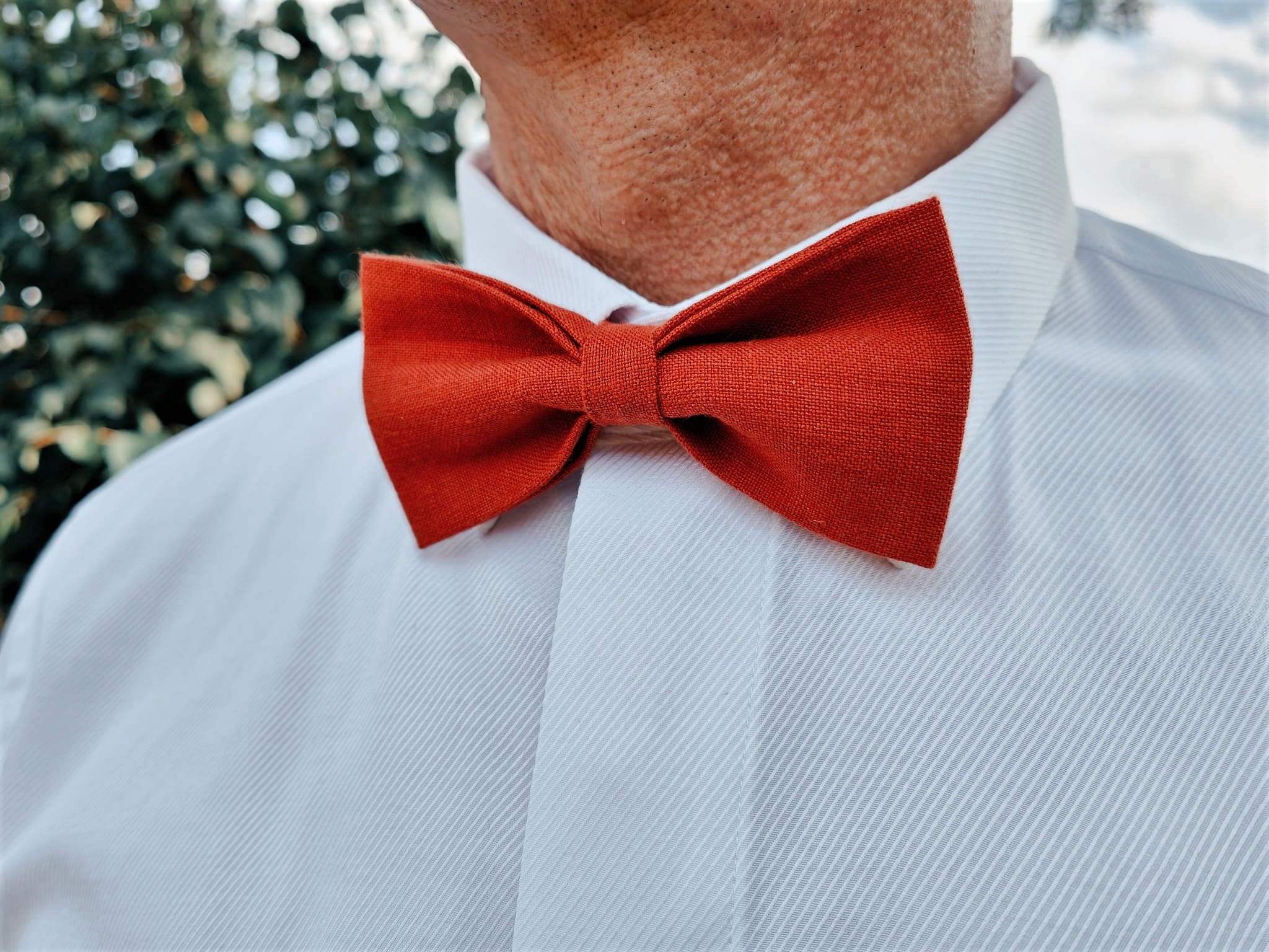 NOEUD PAPILLON ORANGE