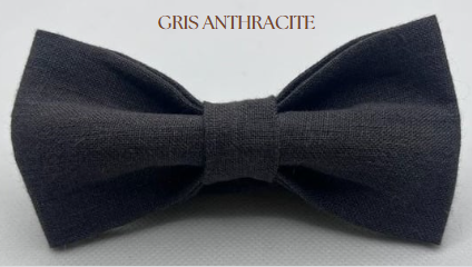 NOEUD PAPILLON GRIS
