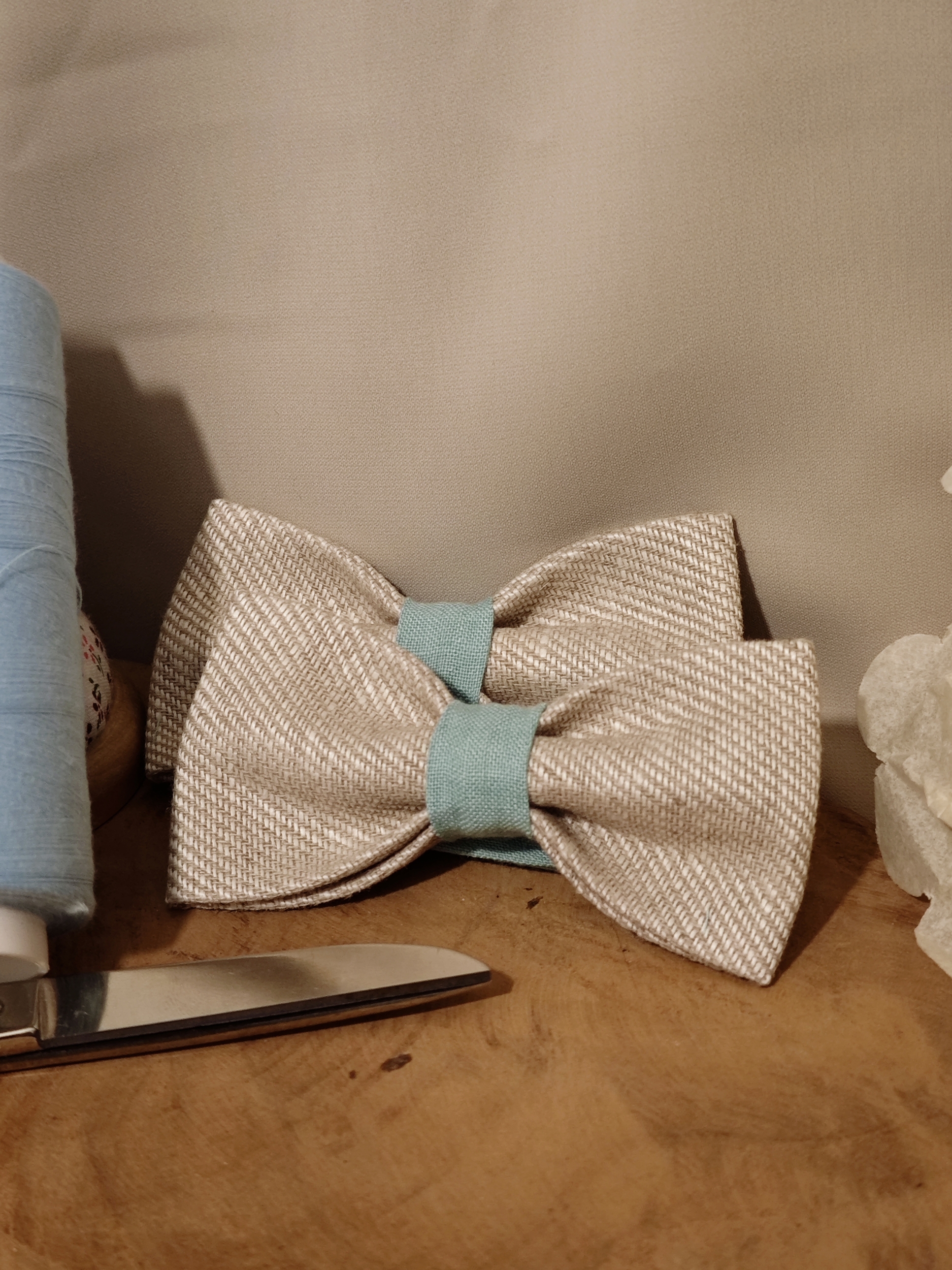 noeud papillon bi couleur