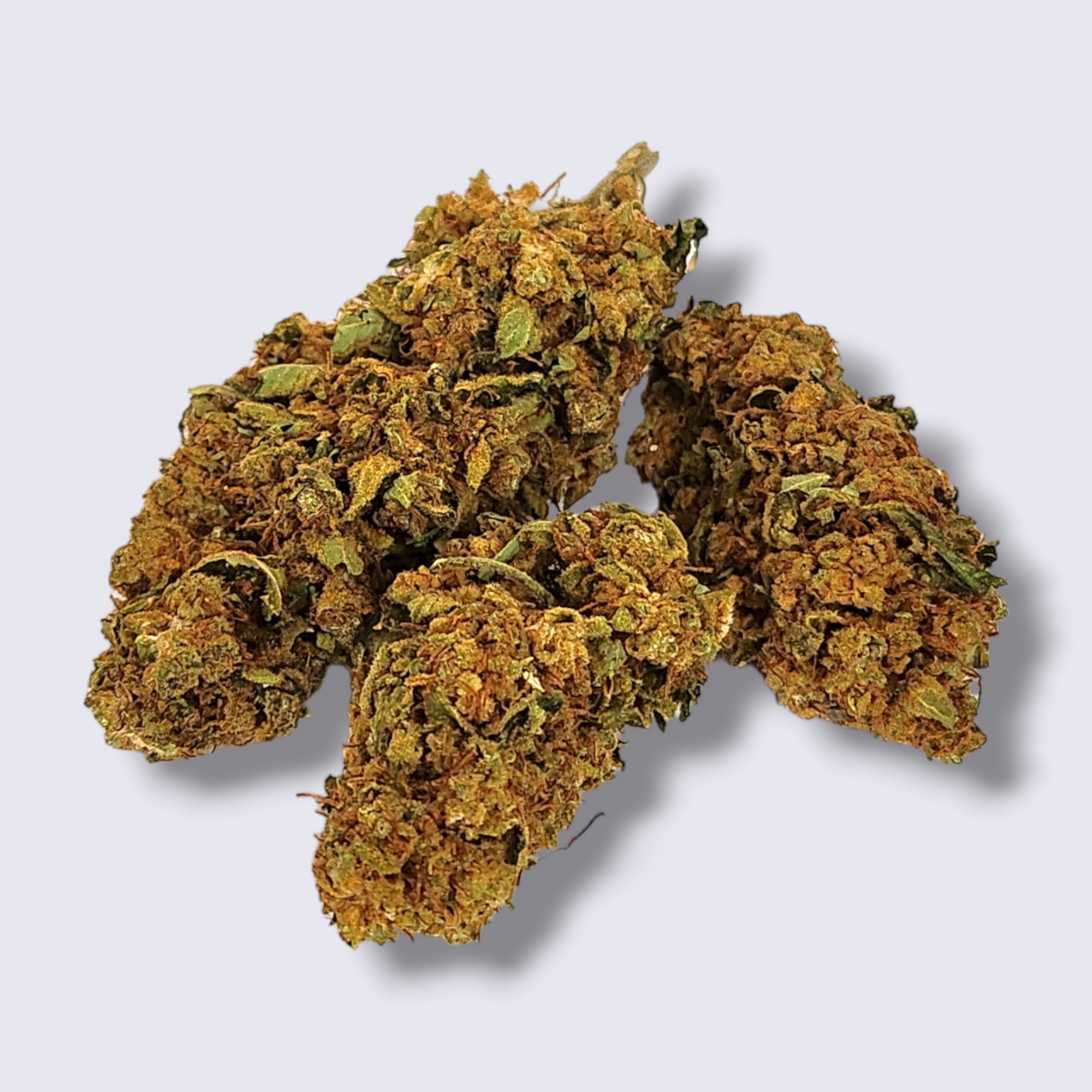AK47 GP