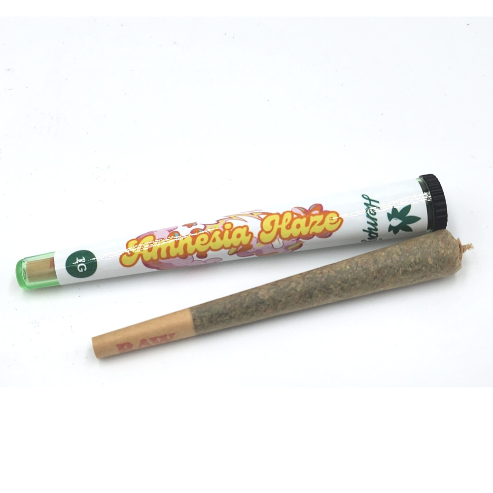Pré-roll Amnésia Haze