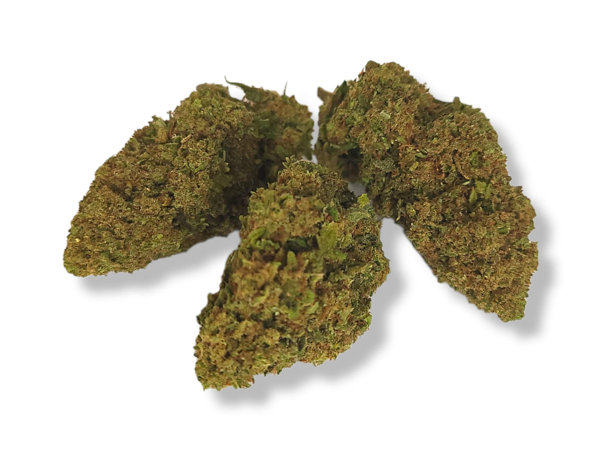 grossiste-fleurs-cbd-amnesia-haze-pas-cher