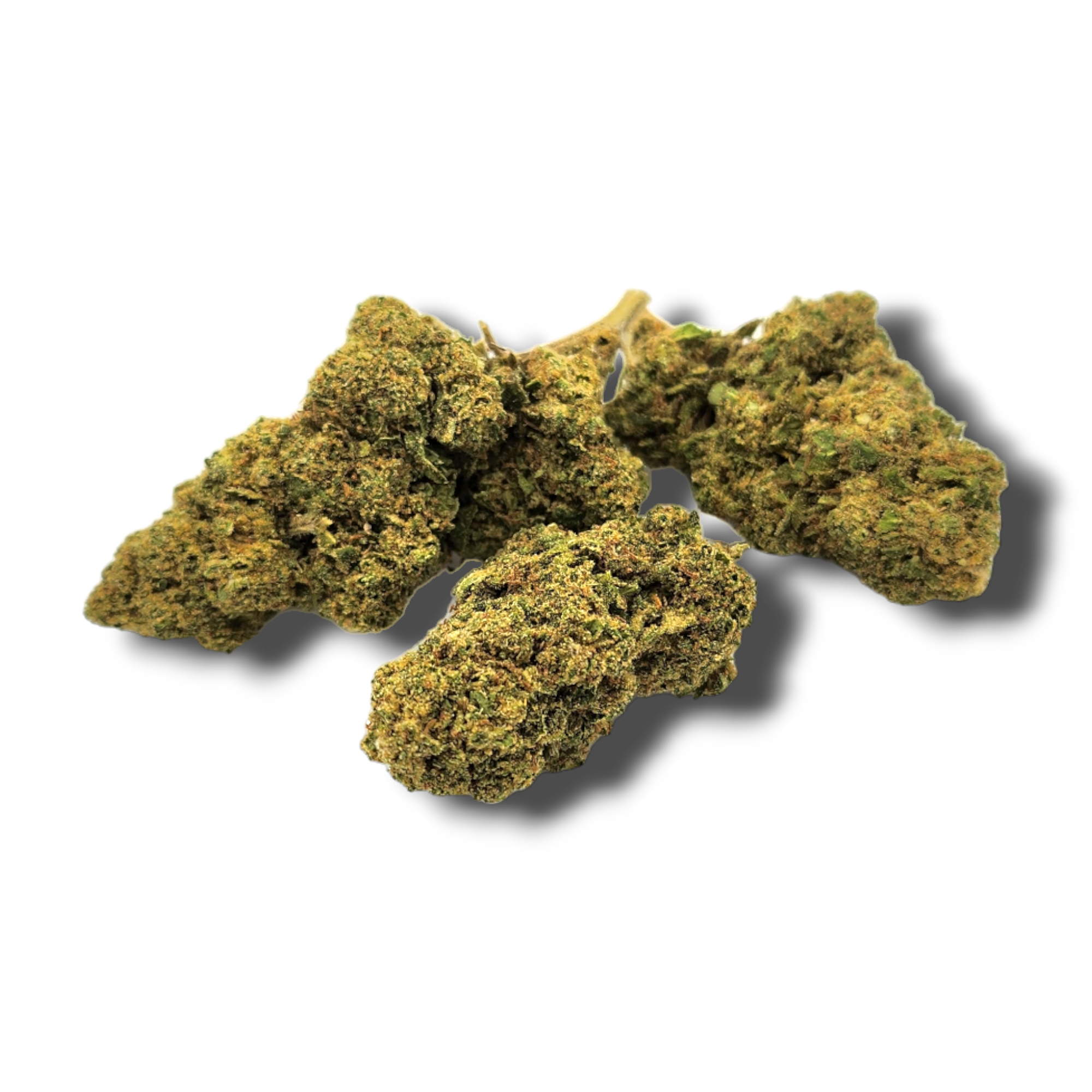 grossiste-fleurs-cbd-white-rhino-pas-cher