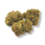 Fleurs-cbd-pas-cher-Gorilla-Glue