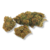 Runtz-fleur-cbd-grossiste-pas-cher