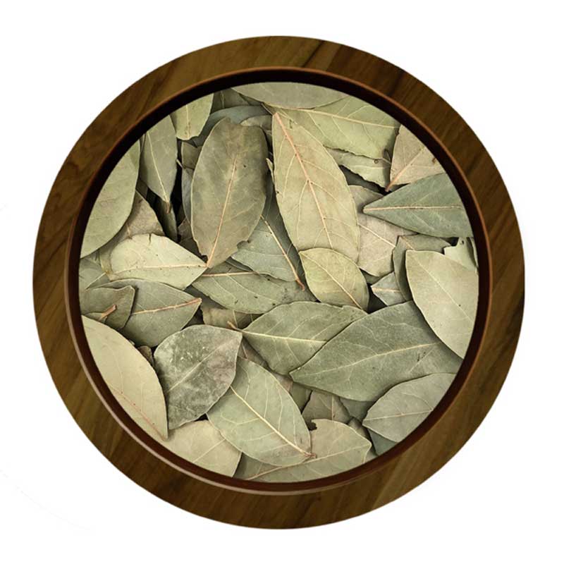 Laurier feuille