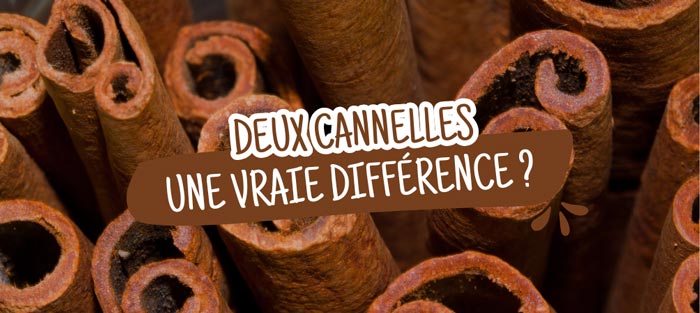 Quelle est la diffrence entre la Cannelle Casse de Chine et la Cannelle de  Ceylan ?