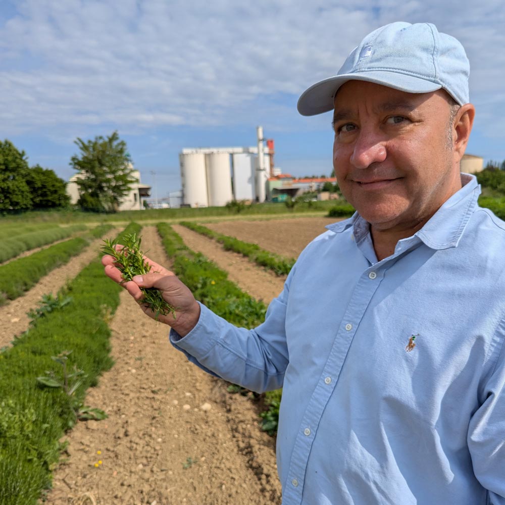 herbes-provences-cultivees-bourgogne
