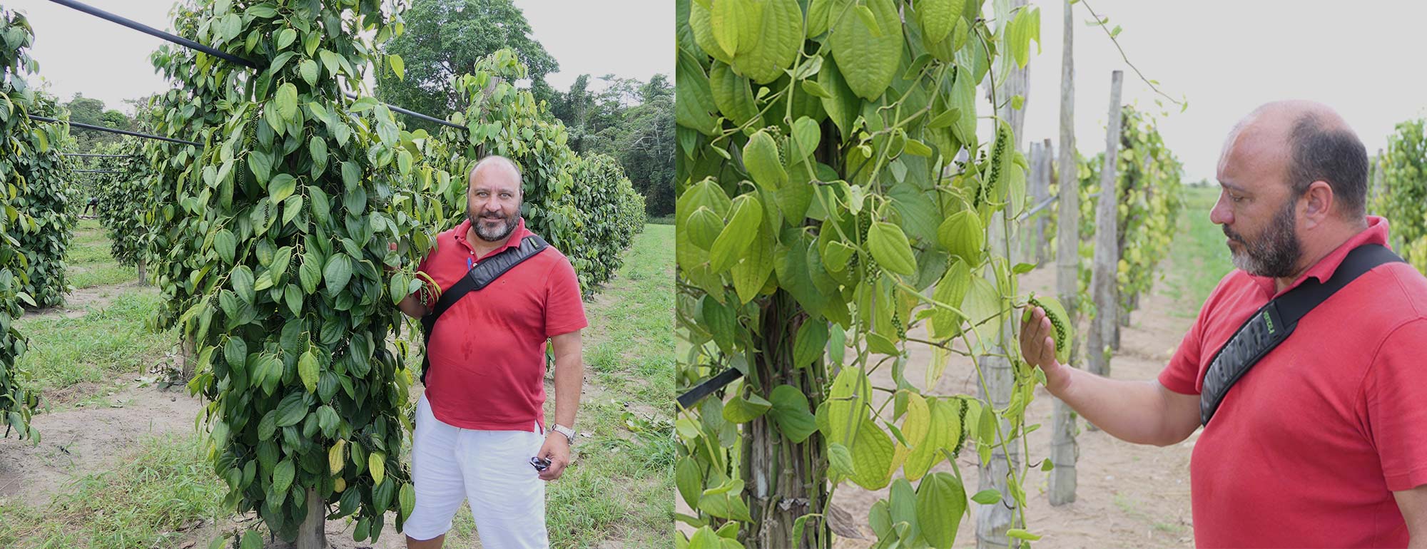 sourcing espices de qualite la brigade des epices