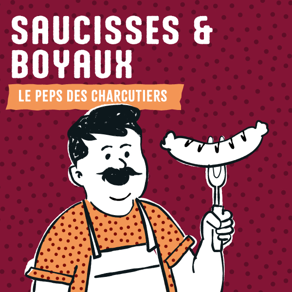 gamme epices saucisse boyaux