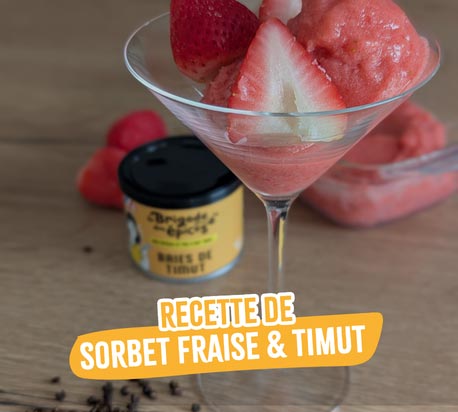 recette sorbet fraise baies timut