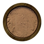 pot-bolet-poudre