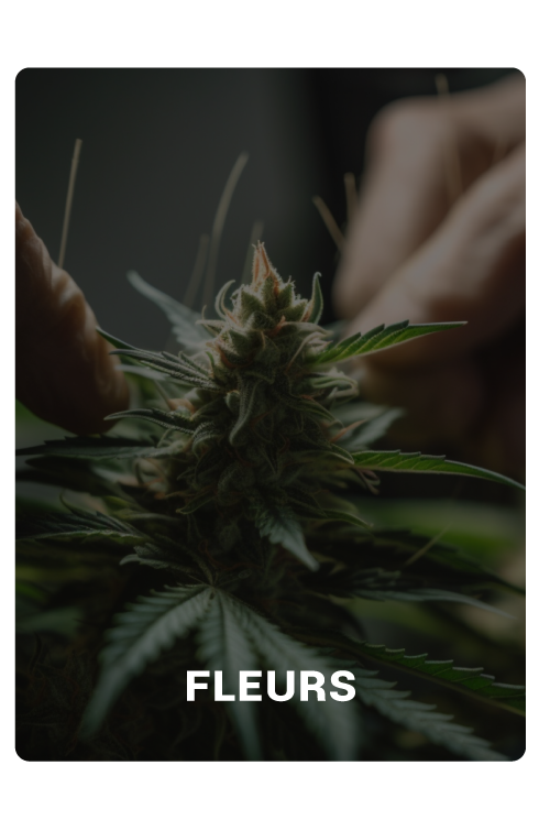 Fleurs