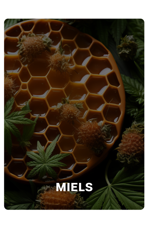 Miels