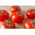 Photo En Gros Plan De Tomates