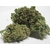 IMG-20231118-WA0004