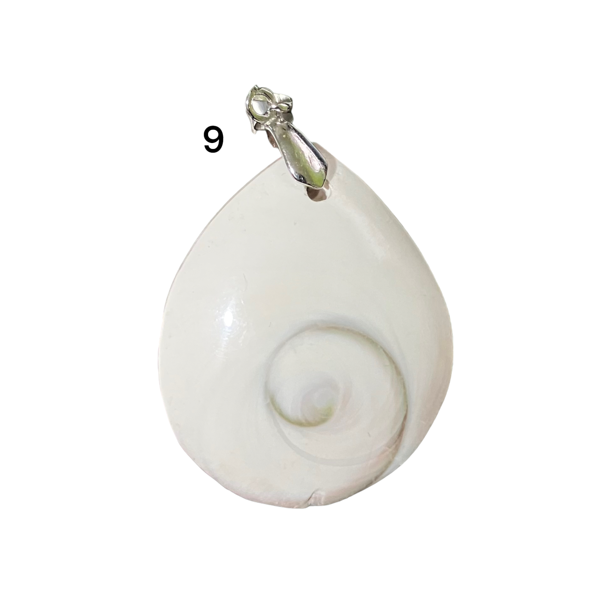 Collier Pendentif Coquillage "Œil De Sainte Lucie" Ovale 23mm - Artisanat Fait Main - Neuf - Fabriqué En France