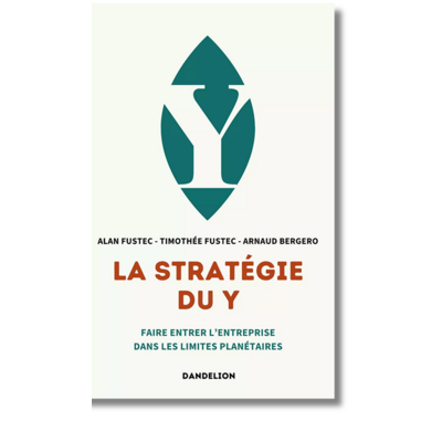 stratgie du y