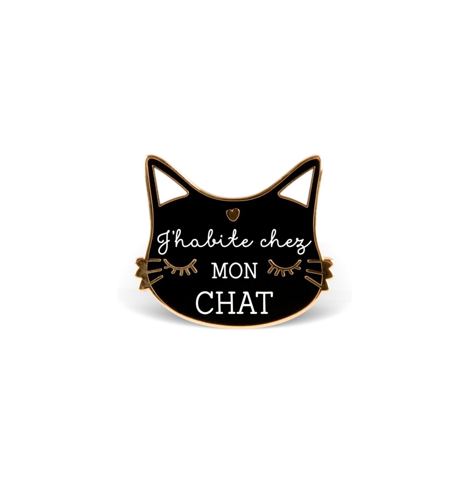pin-s-j-habite-chez-mon-chat