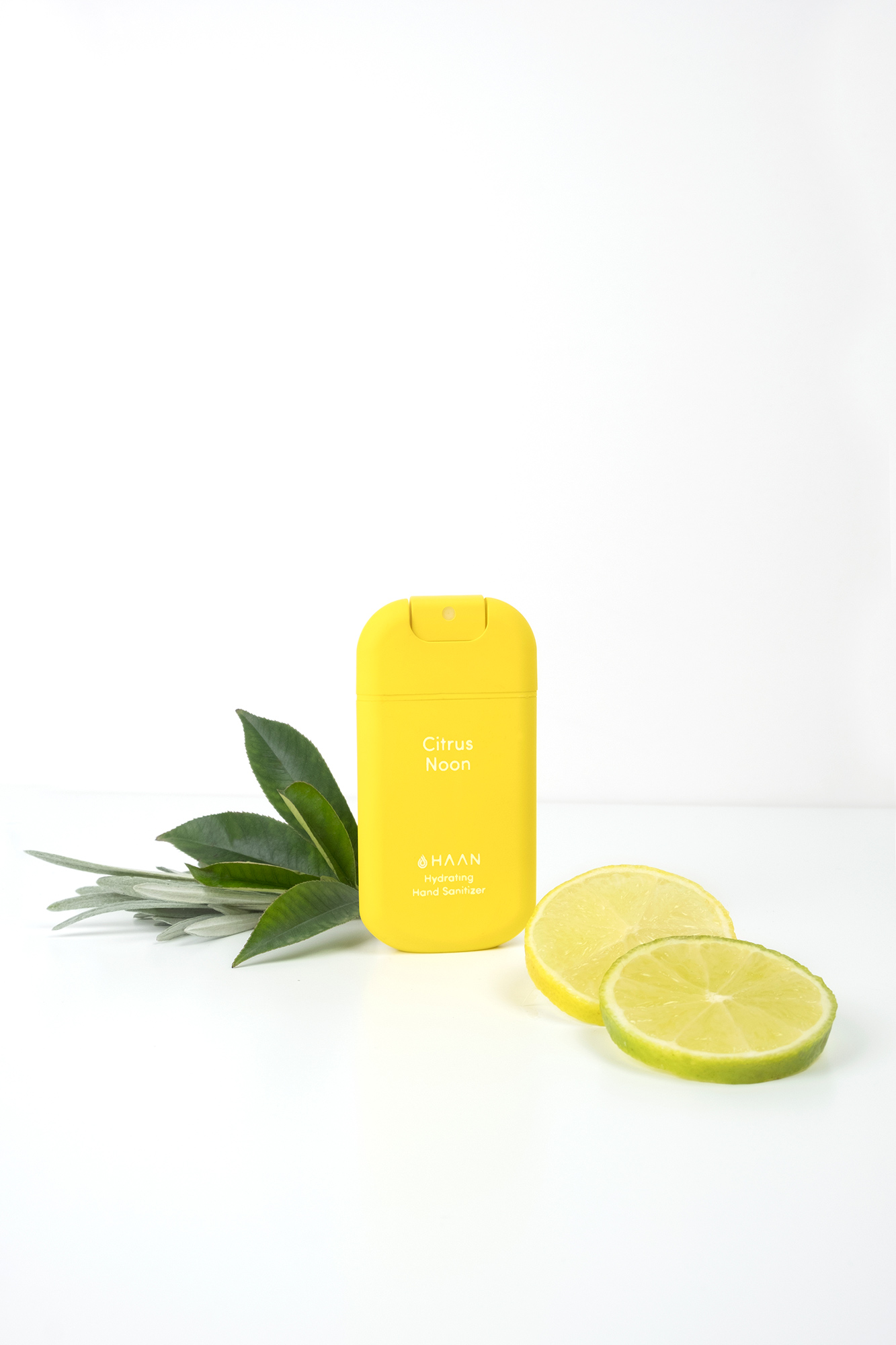 HAAN spray (10)