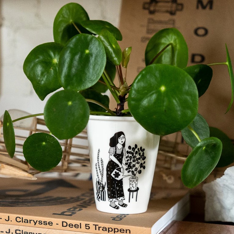 cup_plant_lover_2
