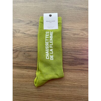 chaussettes_homme_flemme