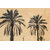 photos palm