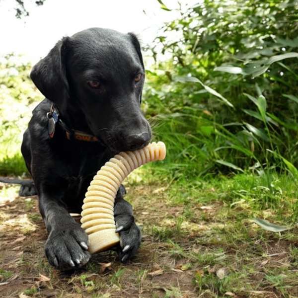 Sodapup-antler2