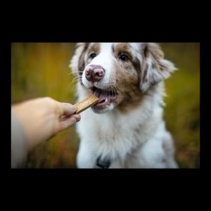 jerky_life_style_1889a5d9-b1a0-4799-a53e-07b428d0d8f1_300x